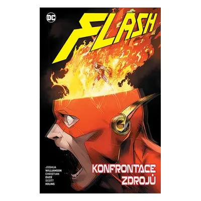 Flash Konfrontace zdrojů