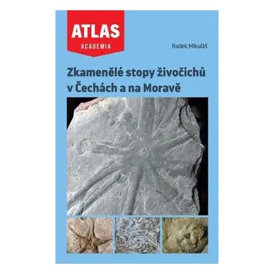 Zkamenělé stopy živočichů v Čechách a na Moravě