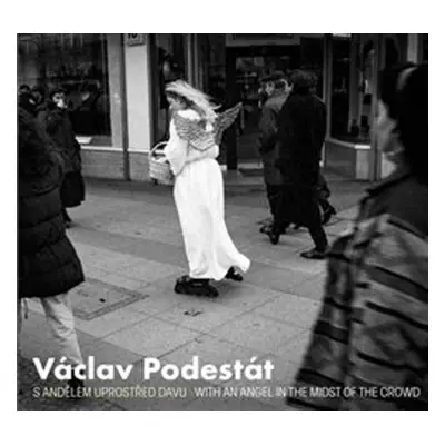 Václav Podestát