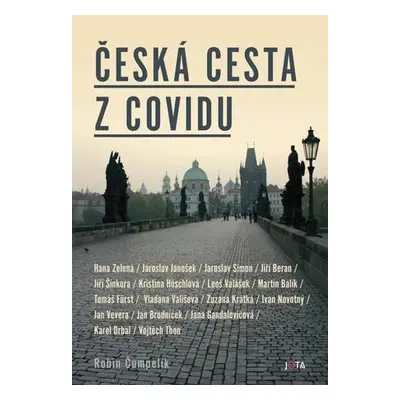 Česká cesta z covidu