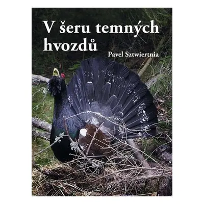 V šeru temných hvozdů