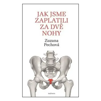 Jak jsme zaplatili za dvě nohy