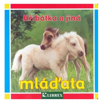 Hříbátka a jiná mláďata