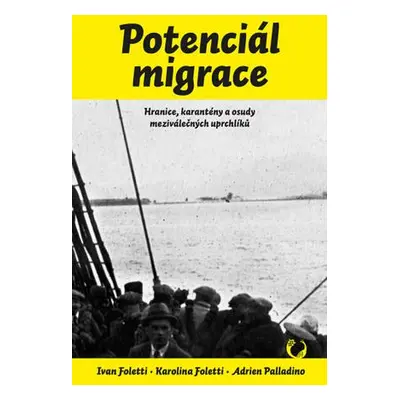 Potenciál migrace