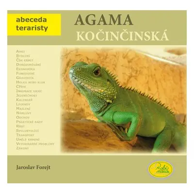 Agama kočičinská