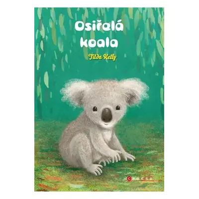 Osiřelá koala