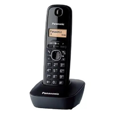 Panasonic KX-TG1911FXG, bezdrát. telefon, TBFSPATG1911006