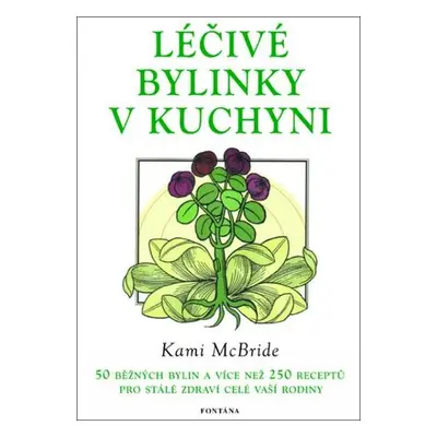 Léčivé bylinky v kuchyni