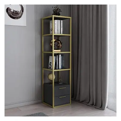 Hanah Home Bookshelf Robbins - Gold, Anthracite GoldAnthracite