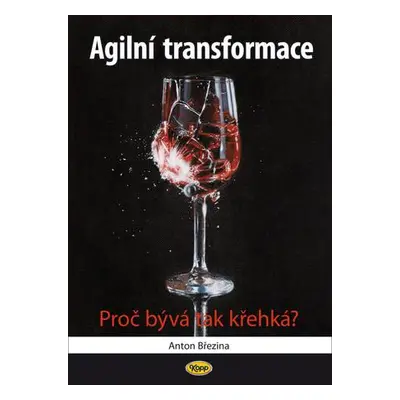 Agilní transformace