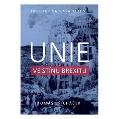 Unie ve stínu brexitu