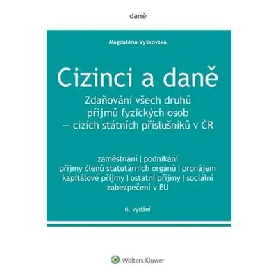 Cizinci a daně