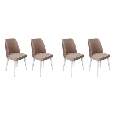 Hanah Home Chair Set (4 Pieces) Tutku-324 V4 BeigeWhite