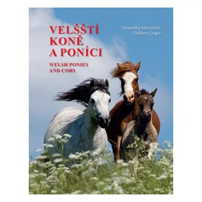 Velšští koně a poníci / Welsh Ponies and Cobs - Dalibor Gregor