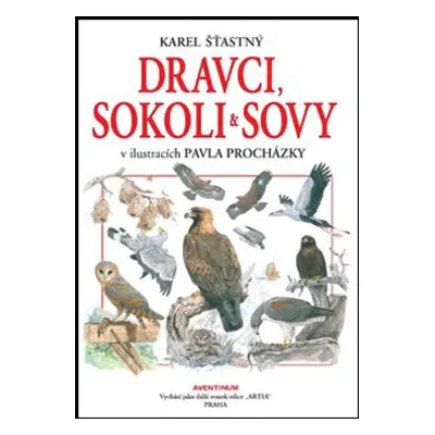 Dravci, sokoli a sovy