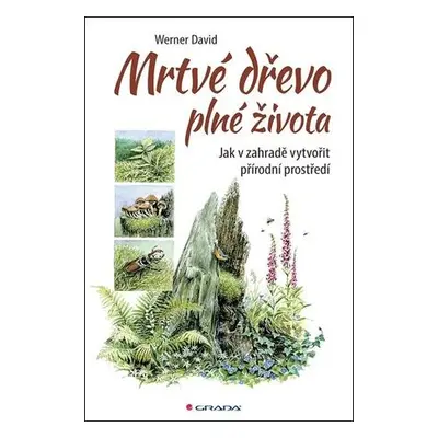 Mrtvé dřevo plné života