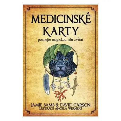 Medicinské karty