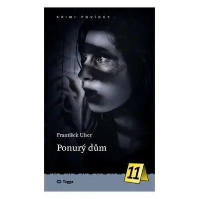 Ponurý dům