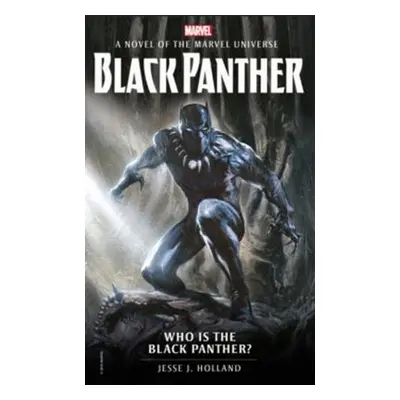 Marvel: Who Is the Black Panther?