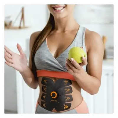 BODI-TEK AB PAD TONING BELT