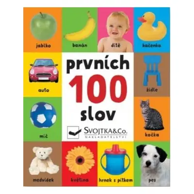 Prvních 100 slov