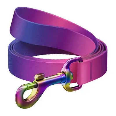 WAUDOG gradient nylon dog leash, length 122cm, purple