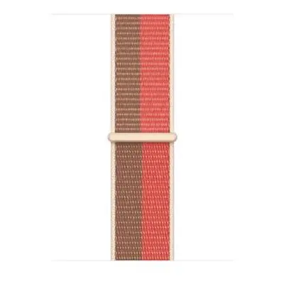 Watch Acc/45/P.Pomelo/Tan S.Loop-Reg