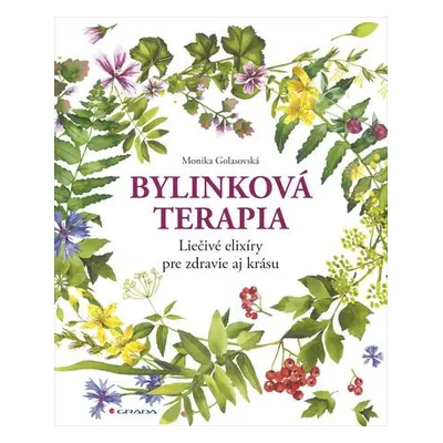 Bylinková terapia