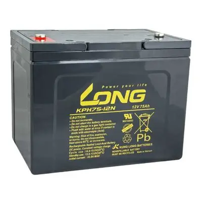 LONG 12V 75Ah