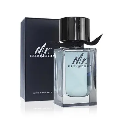 Pánská toaletní voda Mr. Burberry, 50ml