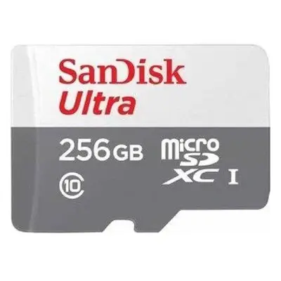 Sandisk MicroSDXC karta 256GB Ultra (100MB/s, Class 10 UHS-I, Android)