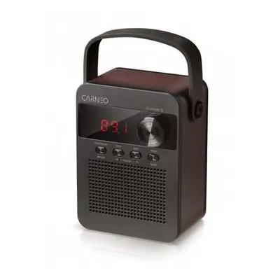 CARNEO F90 FM rádio, BT reproduktor, black/wood