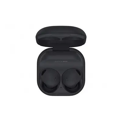 Samsung Galaxy Buds2 Pro (SM-R510) Graphite Grey