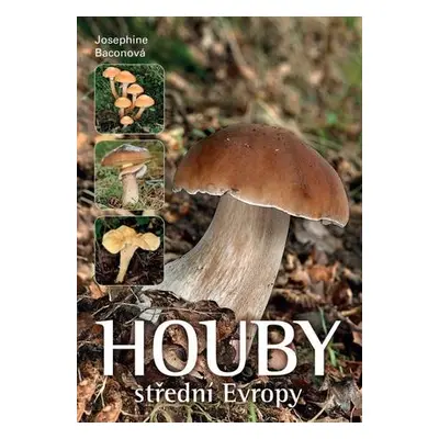 Houby střední Evropy