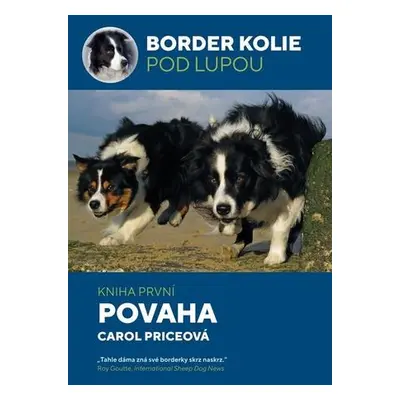 Border kolie pod lupou Povaha