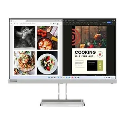 Lenovo/L24i-40/23,8"/IPS/FHD/100Hz/6ms/Gray/3R, 67A8KAC3EU