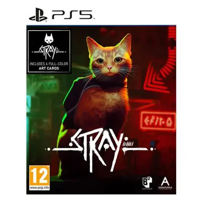 PS5 - Stray