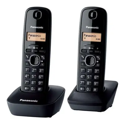 PANASONIC KX-TG1612FXH, TBFSPATG1612006