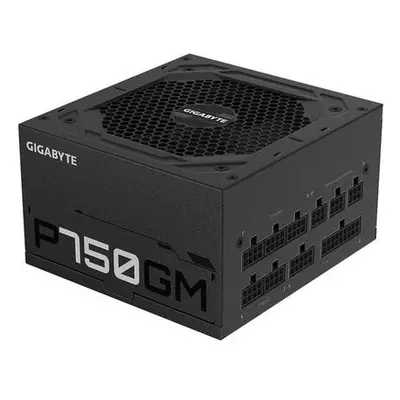 GIGABYTE P750GM, 750W, GP-P750GM