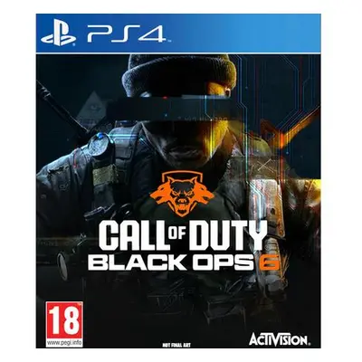 Call of Duty: Black Ops 6 (PS4)