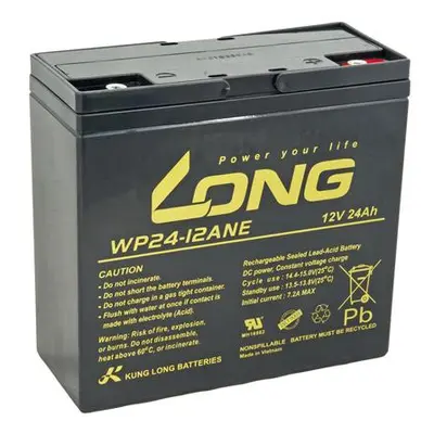 LONG 12V 24Ah WP24-12ANE