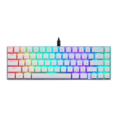 Motospeed CK67 RGB White