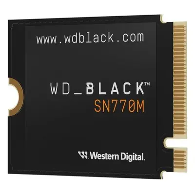 WD BLACK SN770M 1TB, WDS100T3X0G