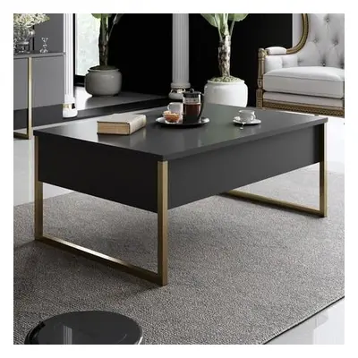 Hanah Home Coffee Table Luxe - Anthracite, Gold