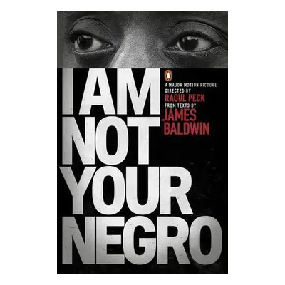 I am Not Your Negro