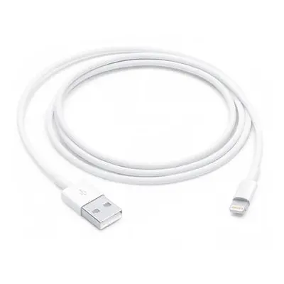 Apple Lightning to USB Cable (1m)