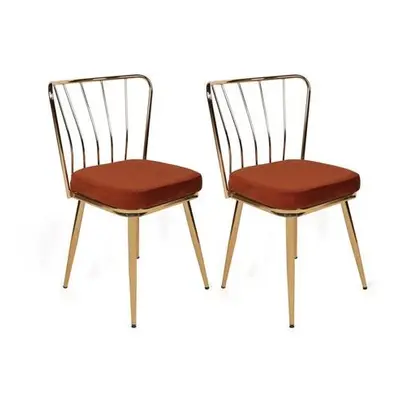 Hanah Home Chair Set (2 Pieces) Yıldız-925 V2