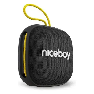 Niceboy RAZE Mini 4