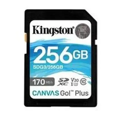 Kingston SDXC Class 10 256 GB SDG3/256GB