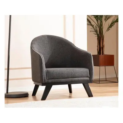 Atelier del Sofa Wing Chair Leon - Anthracite Anthracite